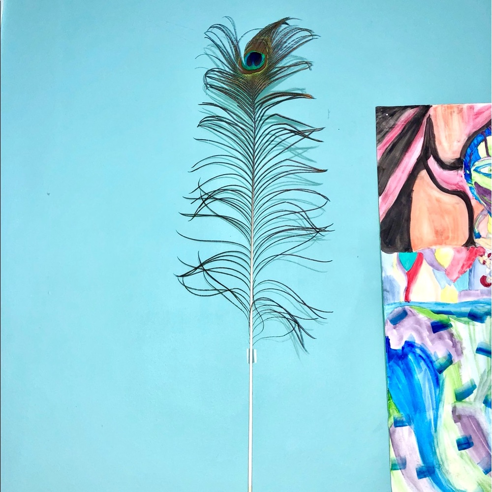 One peacock feather